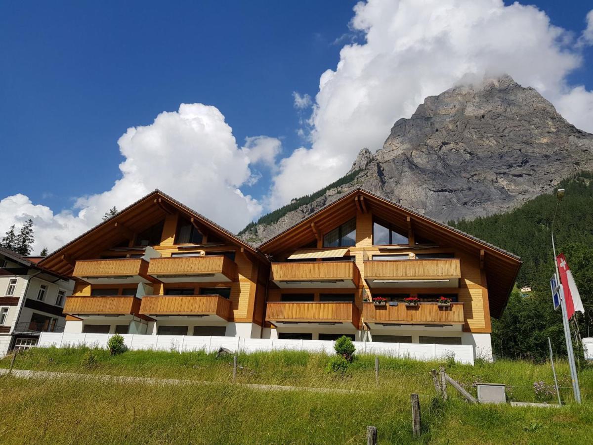 Apartment Terrasse By Interhome Kandersteg Εξωτερικό φωτογραφία